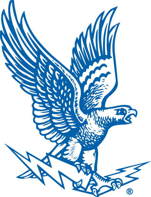Air Force Falcons 1963-1994 Primary Logo iron on transfers for fabric